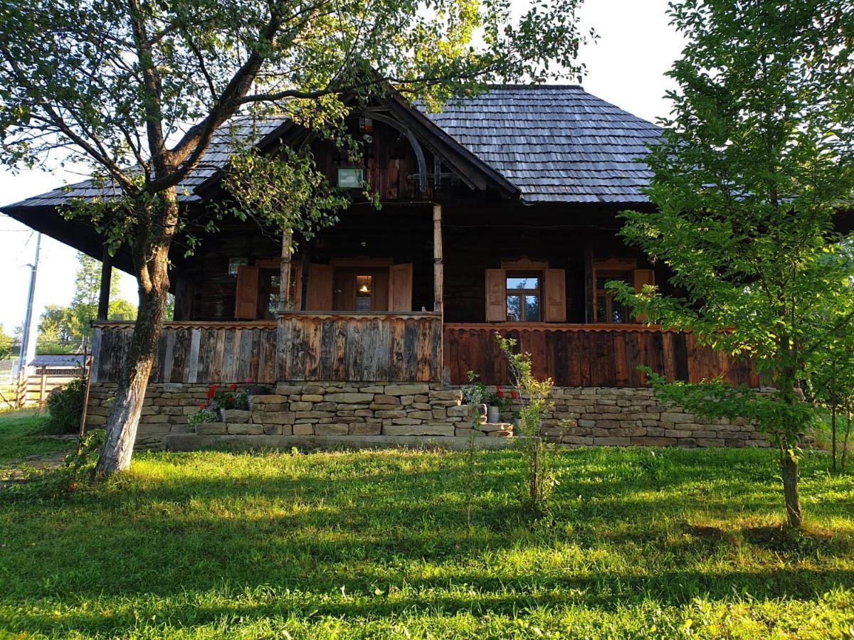 Granny'S House Βίλα Moisei Εξωτερικό φωτογραφία