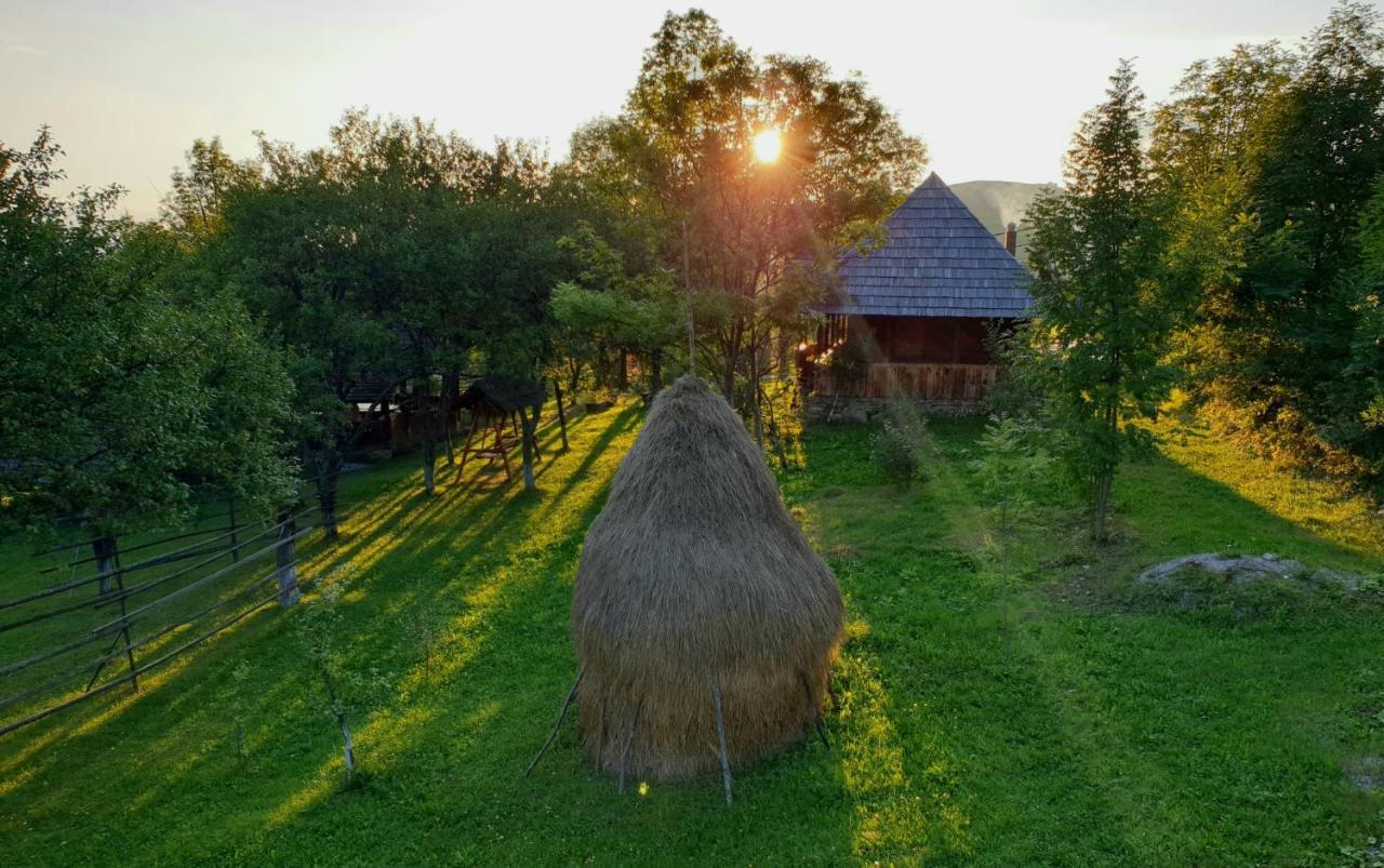 Granny'S House Βίλα Moisei Εξωτερικό φωτογραφία