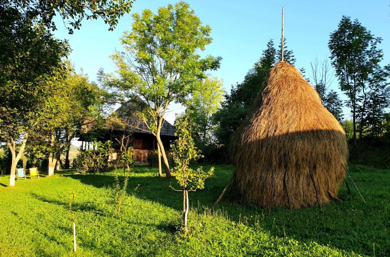 Granny'S House Βίλα Moisei Εξωτερικό φωτογραφία