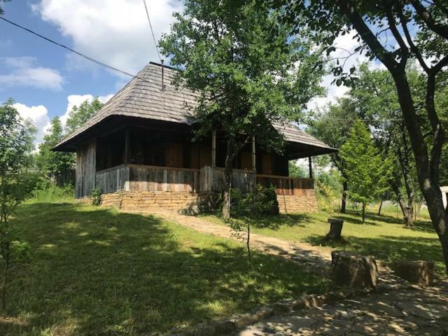 Granny'S House Βίλα Moisei Εξωτερικό φωτογραφία